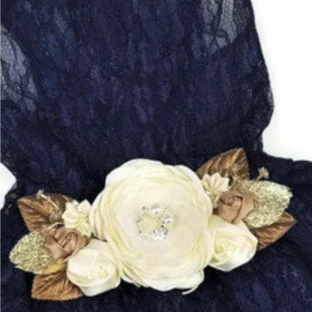 Elegant Cream & Gold Floral Formal Dog Dress for Large Dog & One Matching Collar